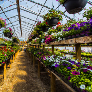 Barries Garden Center Case Study