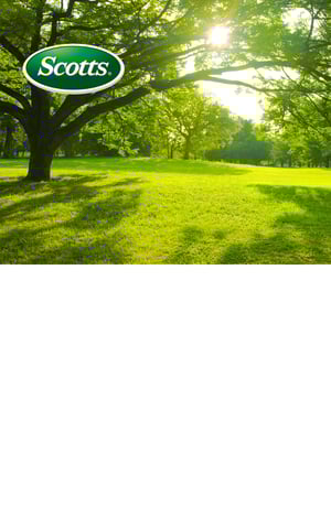 Order automation boosts sales with OrderEase