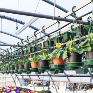 HJS Wholesale Case Study