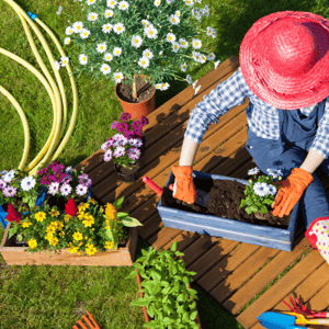 Scotts Miracle Gro OrderEase Case Study