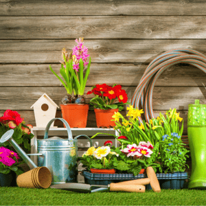 TDI Brands Case Study