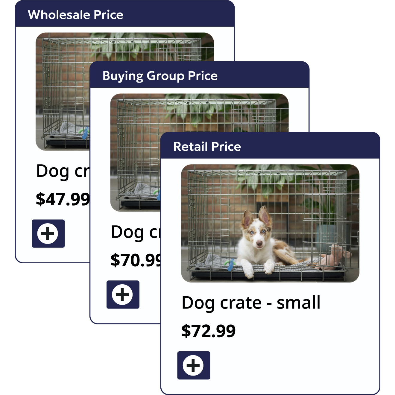 Three different cards describing wholesale, buying group, or retail prices of a dog crate Three different cards describing wholesale, buying group, or retail prices of a dog crate